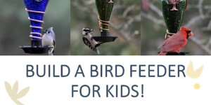 Build a Bird Feeder for Kids @ Lebanon Public Library Story Time Room