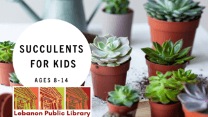 Succulents for Kids @ Story Time Room