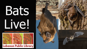 Bats Live! Session 1 @ Lebanon Public Library Story Time Room